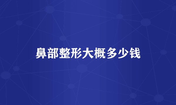 鼻部整形大概多少钱