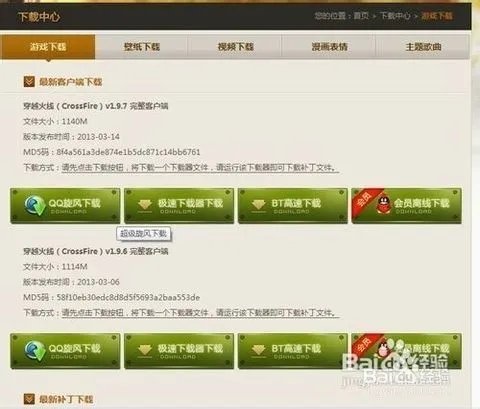 我下载了穿越火线的高速下载器,但是还没安装.我现在找不到了怎么处理?是用迅雷下载的,去迅雷那也找不到 -