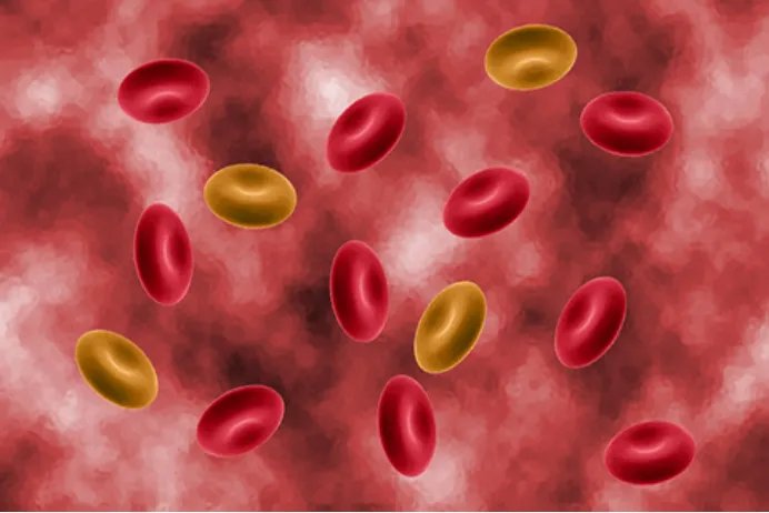 布病的症状有哪些