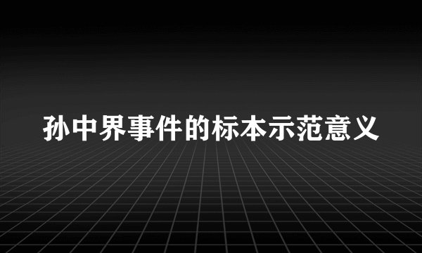 孙中界事件的标本示范意义