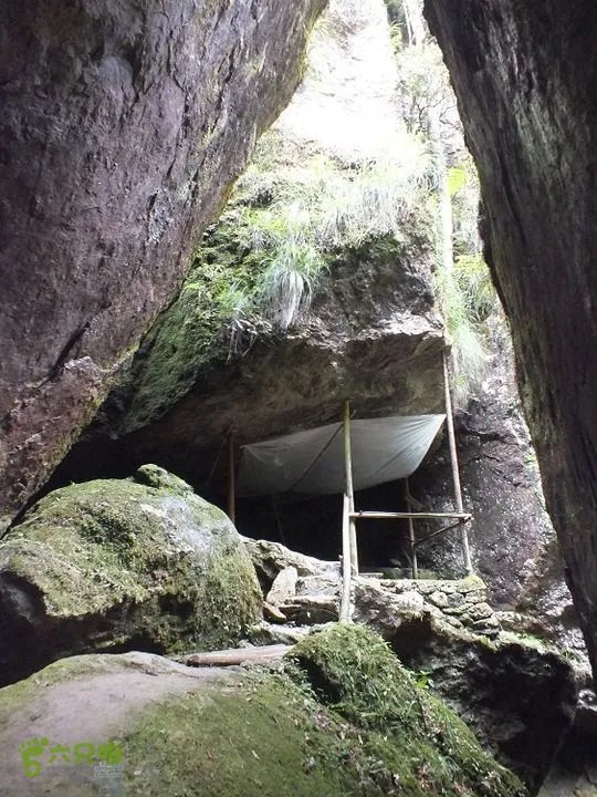 蝙蝠洞的周宁蝙蝠洞