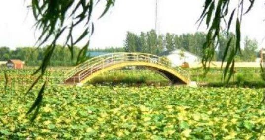 保定景区，十大排名是怎样得？