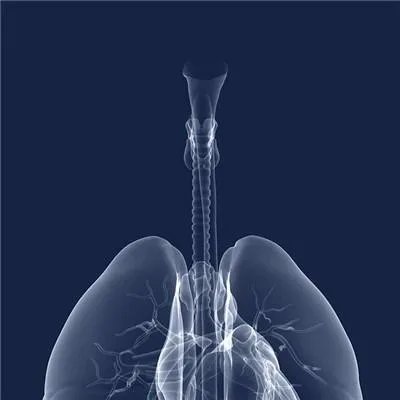 乙肝小三阳传染吗