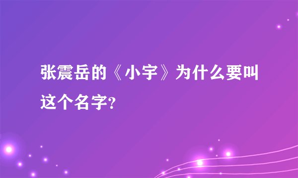 张震岳的《小宇》为什么要叫这个名字？