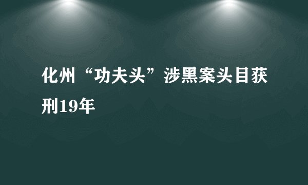 化州“功夫头”涉黑案头目获刑19年