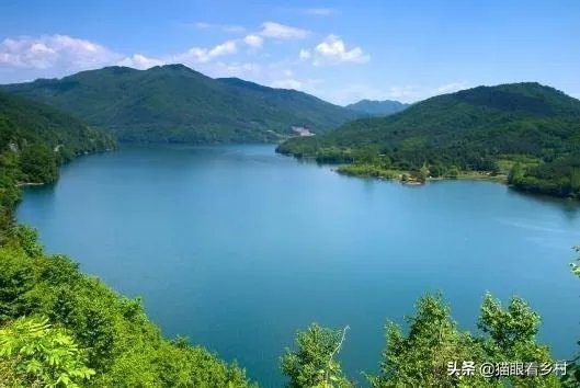 雨后池塘水浑浊怎么处理？