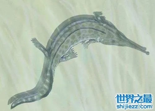 虾蟆螈以吃恐龙生存 已灭绝的史前恐怖生物 