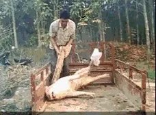 威海比日照如何，哪个更好玩？