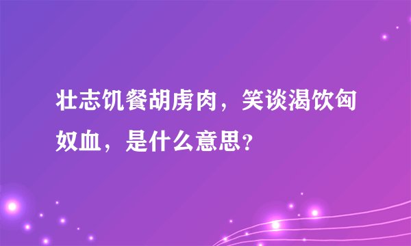 壮志饥餐胡虏肉，笑谈渴饮匈奴血，是什么意思？