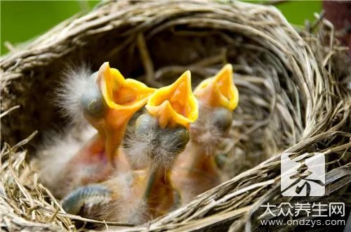 牛奶燕窝的功效有哪些