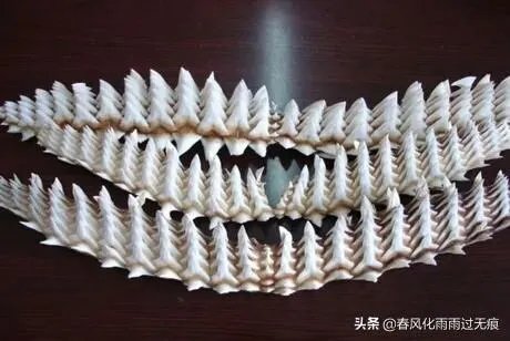 世界上牙齿最多的动物是什么？