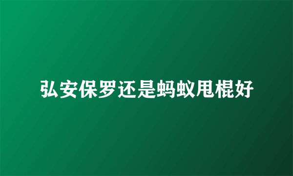 弘安保罗还是蚂蚁甩棍好