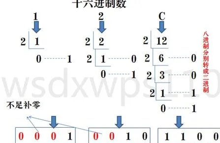 16进制转换10进制，如何转换这个数字