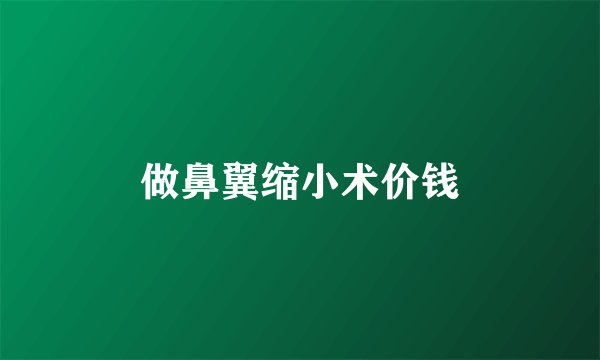 做鼻翼缩小术价钱