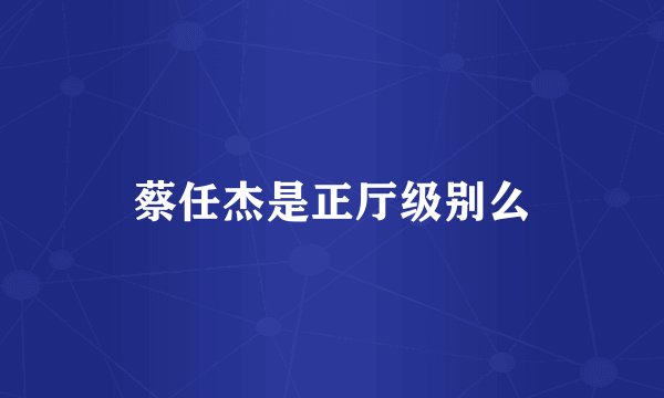 蔡任杰是正厅级别么