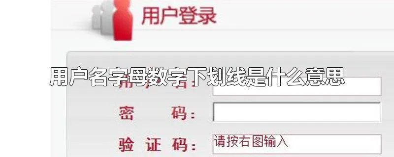 用户名字母数字下划线是什么意思