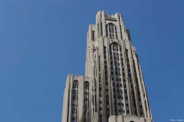 奥克兰大学是世界排名百强的高等教育,奥克兰大学医学排名怎么样?