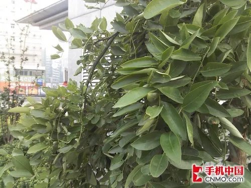 时尚Android智能机 摩托罗拉XT531评测