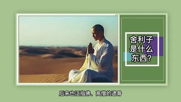 舍利子是什么东西?