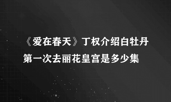 《爱在春天》丁权介绍白牡丹第一次去丽花皇宫是多少集