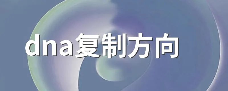 dna复制方向 复制顺序详解