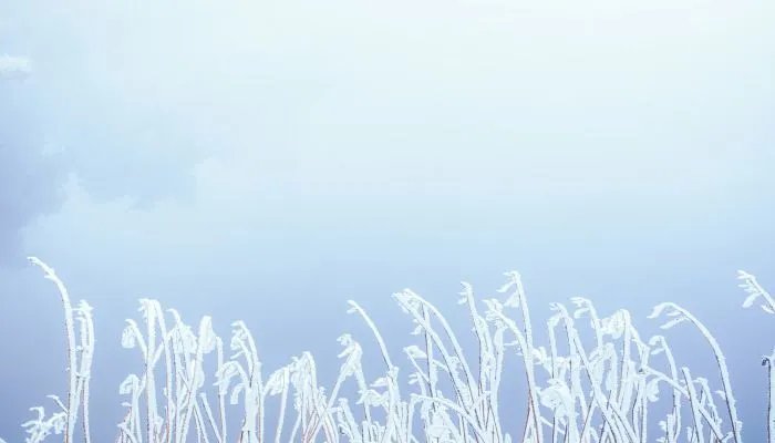 冬至祝福语简短