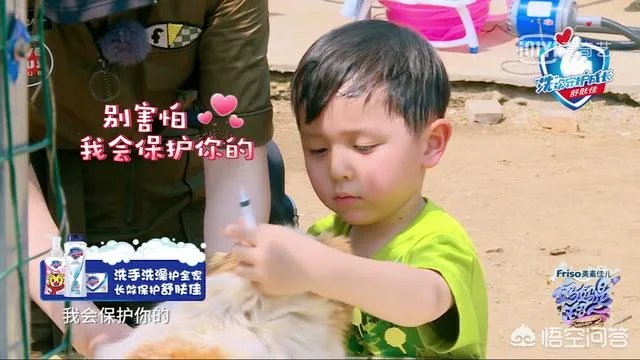 邓莎家的大麟子你们喜欢吗？