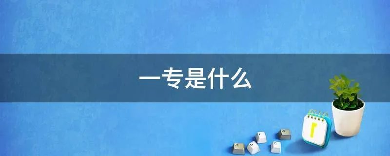 一专是什么