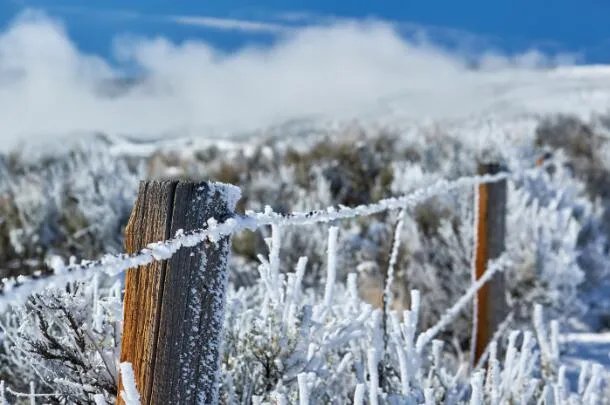 2020冬天真的是60年最冷吗  六十年最冷冬天是不是真的
