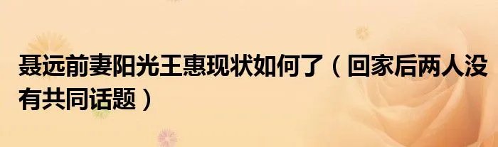 聂远前妻阳光王惠现状如何了（回家后两人没有共同话题）