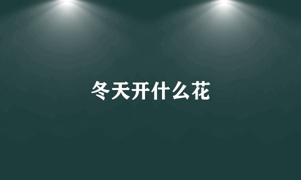 冬天开什么花