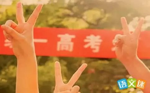 说说高考撕书议论文