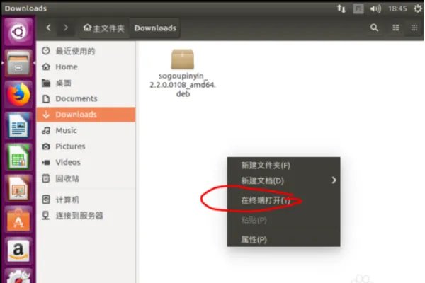 linux系统下载软件