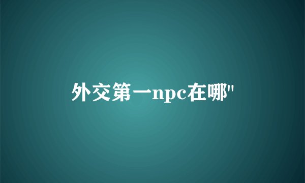 外交第一npc在哪