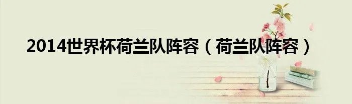 2014世界杯荷兰队阵容（荷兰队阵容）