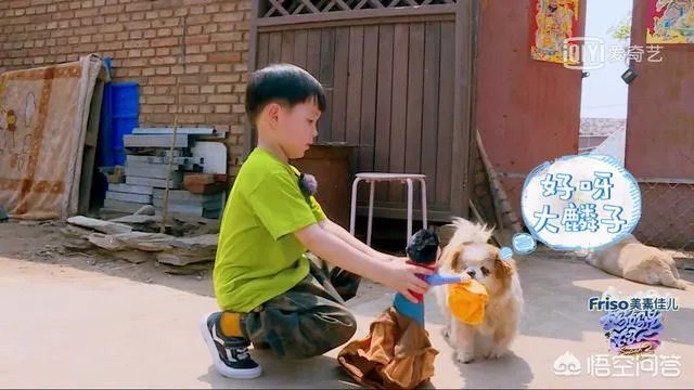 邓莎家的大麟子你们喜欢吗？