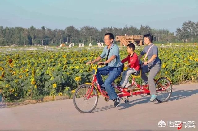 “五一”放几天假最好？为什么？