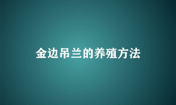 金边吊兰的养殖方法