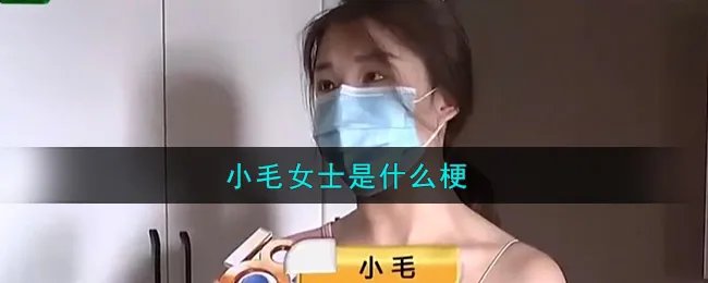 小毛女士是什么梗