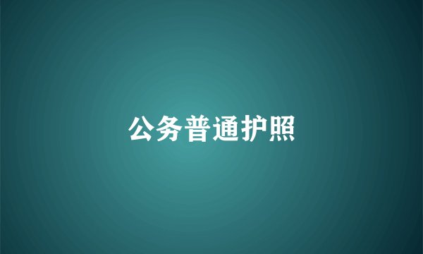 公务普通护照
