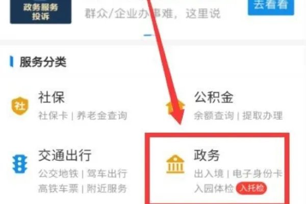 该怎么网上签证