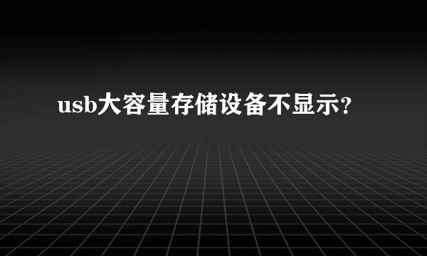 usb大容量存储设备不显示？