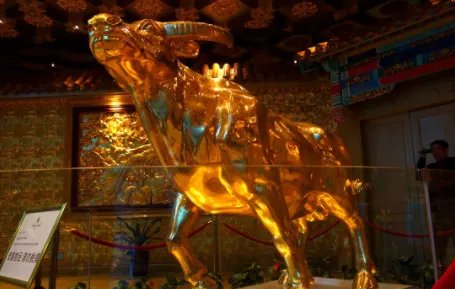 华西村金牛多重？