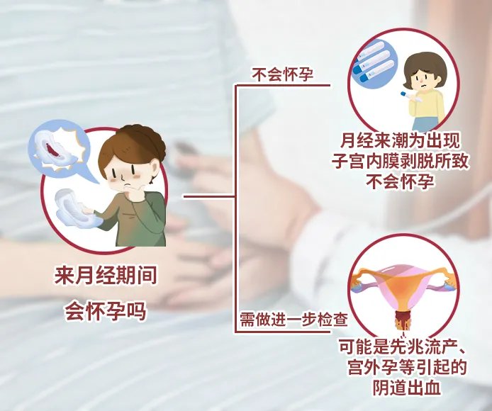 来月经了还会怀孕么