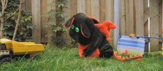 为什么狮子吧的人讨厌老虎吧的人？