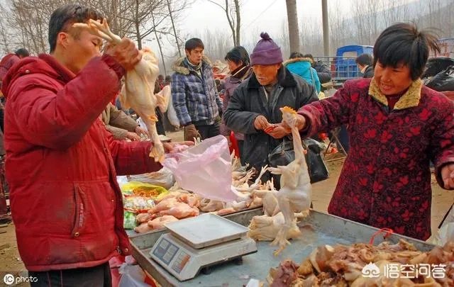 大家就最近几年来看，蛋鸡价格上涨周期是哪几年？