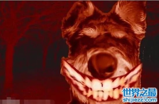 微笑狗恐怖原图，灵异的smile.jpg其实是ps出来的 