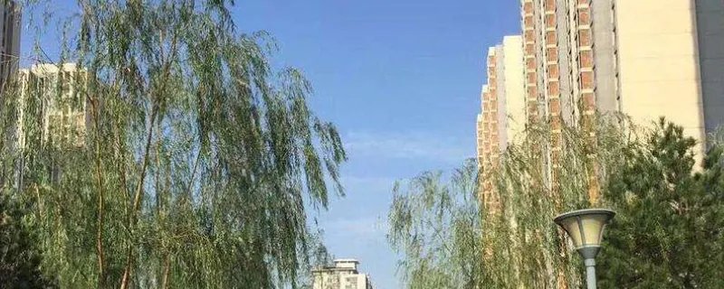 双休日装修可以报警吗