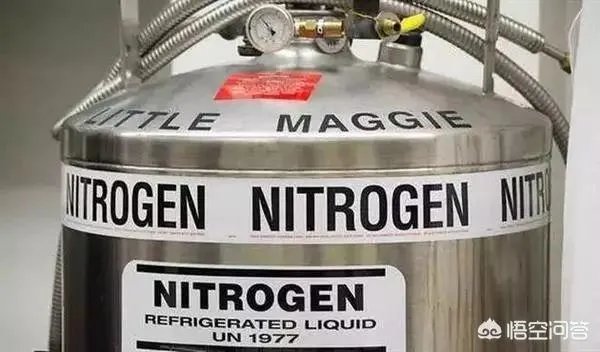 首例冷冻人复活