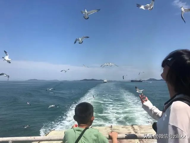 打算去山东长岛玩,有哪些经济实惠的渔家乐可推荐的?